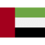 UAE flag